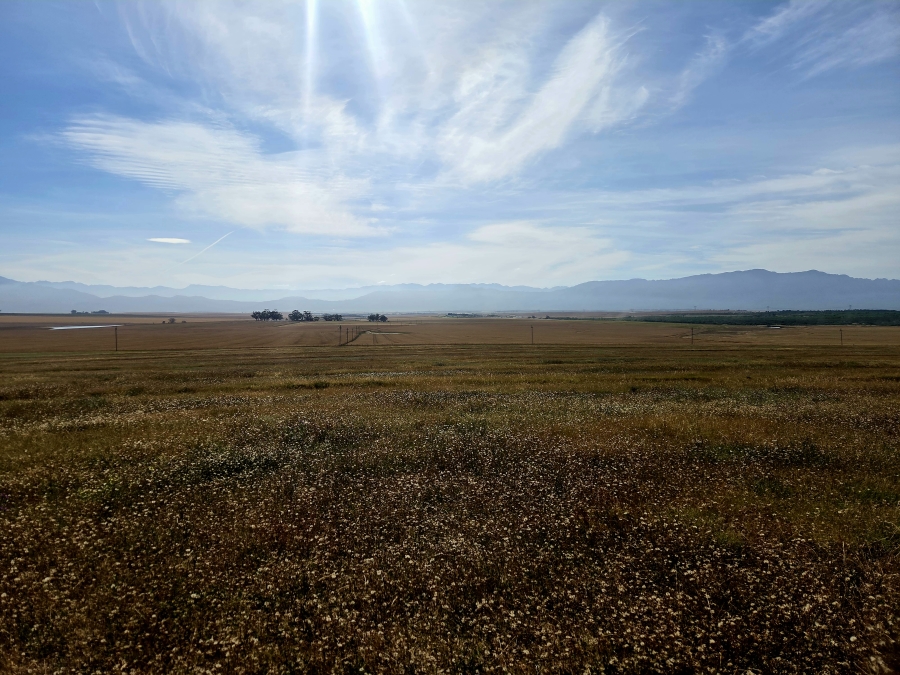 Commercial Property for Sale in Riebeek Kasteel Western Cape